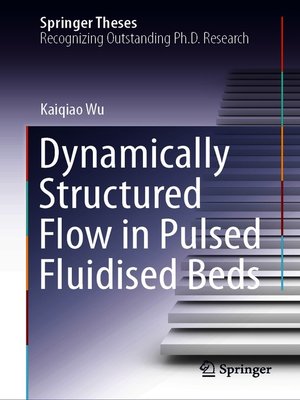 cover image of Dynamically Structured Flow in Pulsed Fluidised Beds
